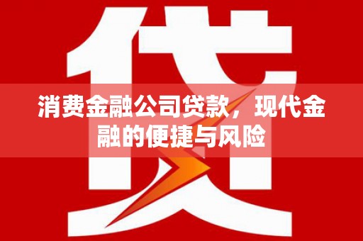 宽甸消费金融公司贷款，现代金融的便捷与风险
