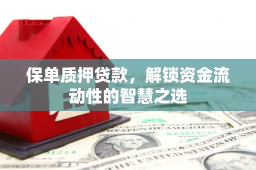 宽甸保单质押贷款，解锁资金流动性的智慧之选