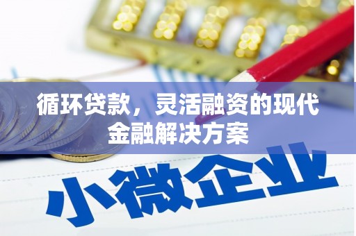 宽甸循环贷款，灵活融资的现代金融解决方案