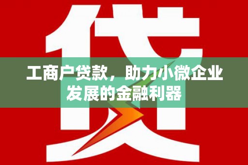 宽甸工商户贷款，助力小微企业发展的金融利器