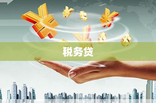 宽甸税务贷