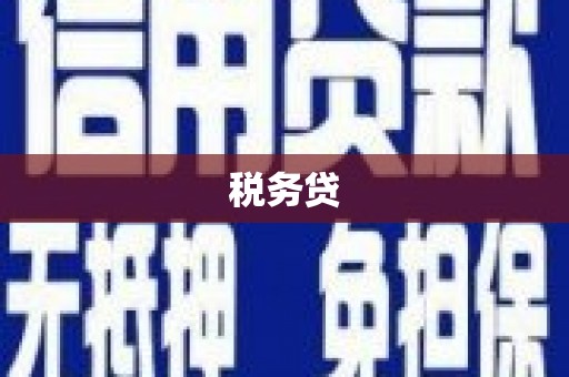 宽甸税务贷