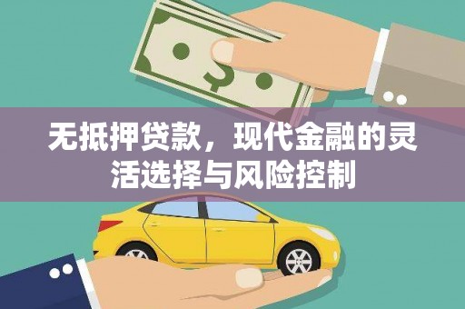 宽甸无抵押贷款，现代金融的灵活选择与风险控制