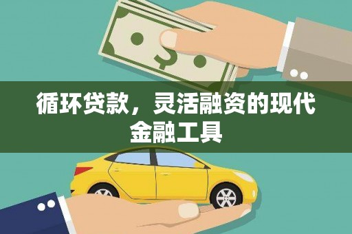宽甸循环贷款，灵活融资的现代金融工具