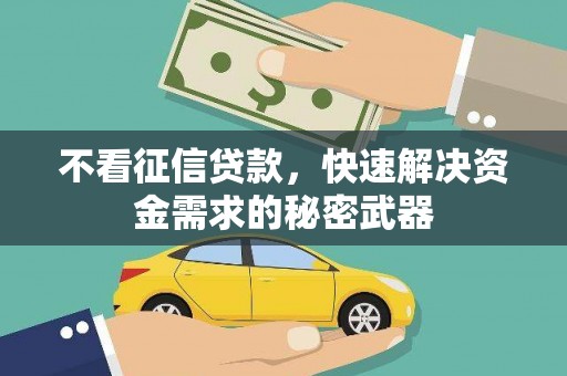 宽甸不看征信贷款，快速解决资金需求的秘密武器