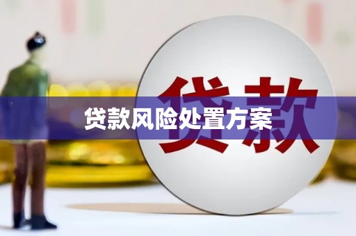 宽甸贷款风险处置方案