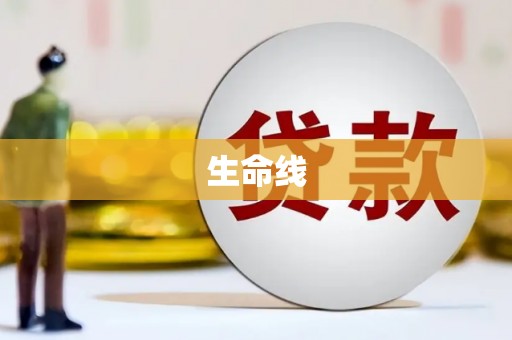宽甸生命线