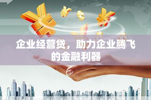宽甸企业经营贷，助力企业腾飞的金融利器