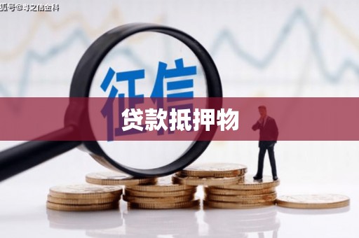 宽甸贷款抵押物