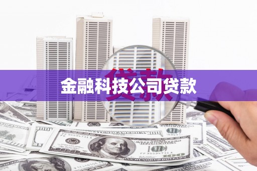 宽甸金融科技公司贷款