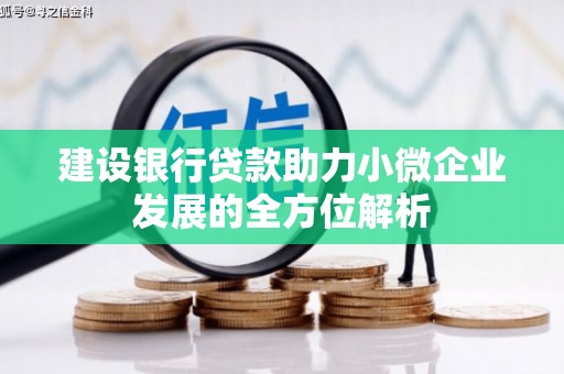 宽甸建设银行贷款助力小微企业发展的全方位解析