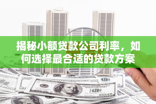 宽甸揭秘小额贷款公司利率，如何选择最合适的贷款方案