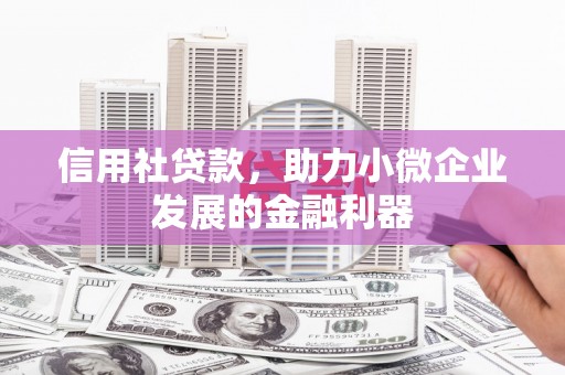 宽甸信用社贷款，助力小微企业发展的金融利器
