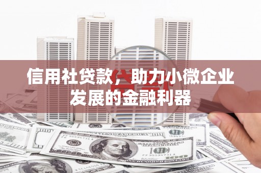 宽甸信用社贷款，助力小微企业发展的金融利器