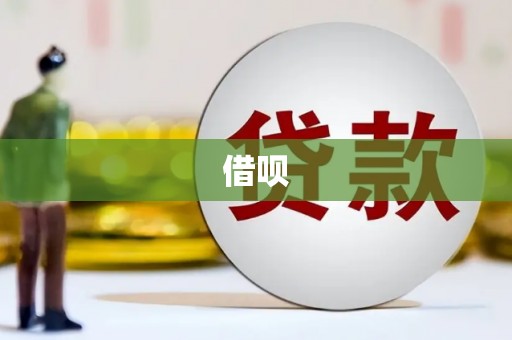 宽甸借呗