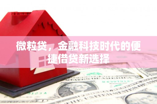 宽甸微粒贷，金融科技时代的便捷借贷新选择