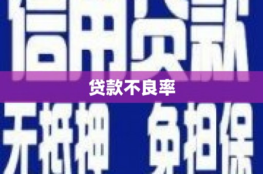 宽甸贷款不良率