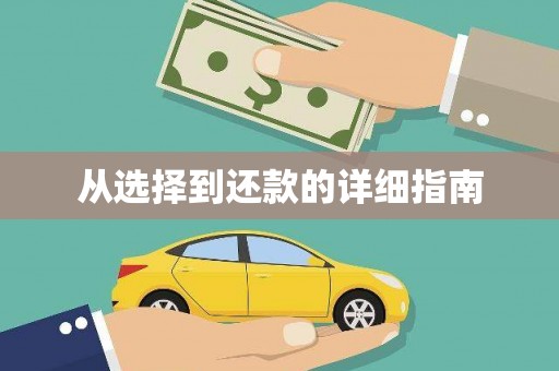 宽甸从选择到还款的详细指南