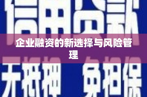 宽甸企业融资的新选择与风险管理
