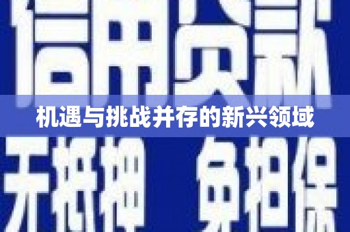 宽甸机遇与挑战并存的新兴领域