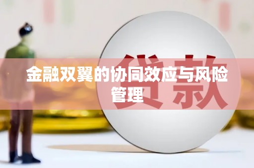 宽甸金融双翼的协同效应与风险管理